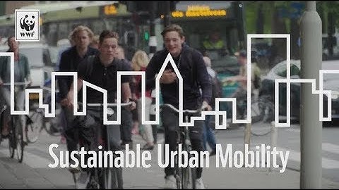 Cities Rise to the Challenge – Sustainable Mobility
