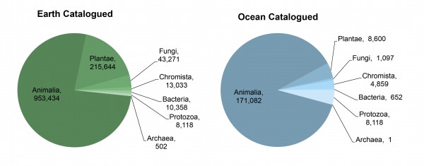 Catalogued Earth and Ocean Species