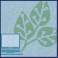 illustrated icon for green it factsheet