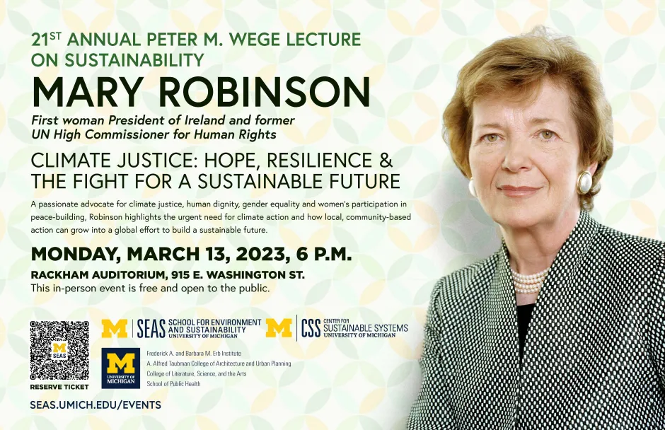 Mary Robinson Poster