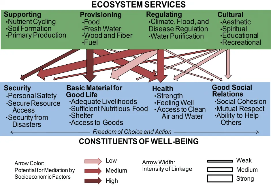 Biodiversity, Ecosystem Services, and Human Well-Being2