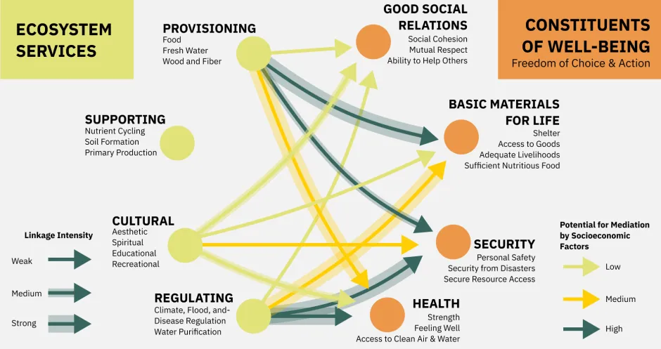 Figure 2_Biodiversity, Ecosystem services, and Well being