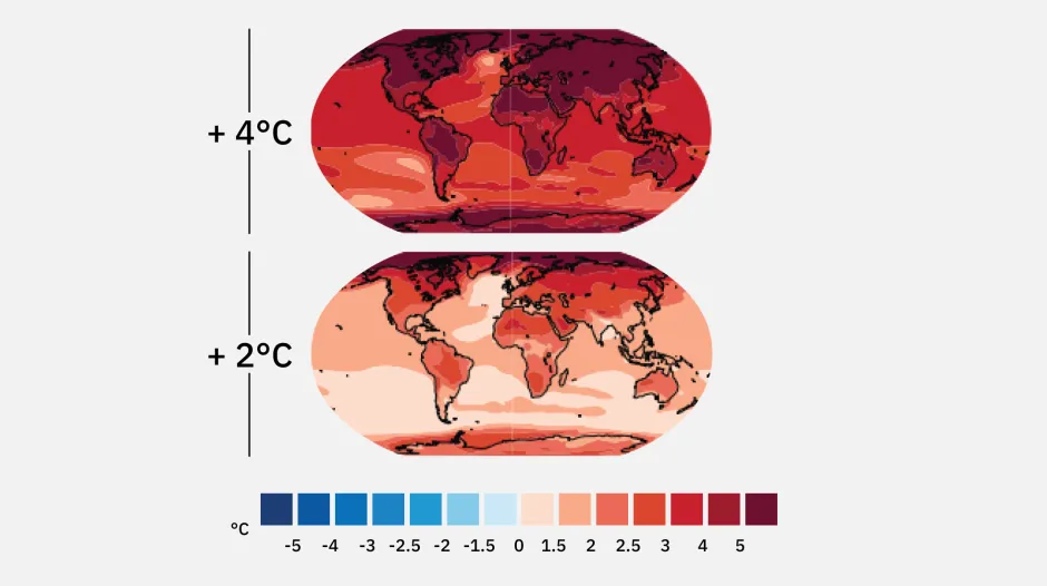 Projected Near Surface Temperature Change