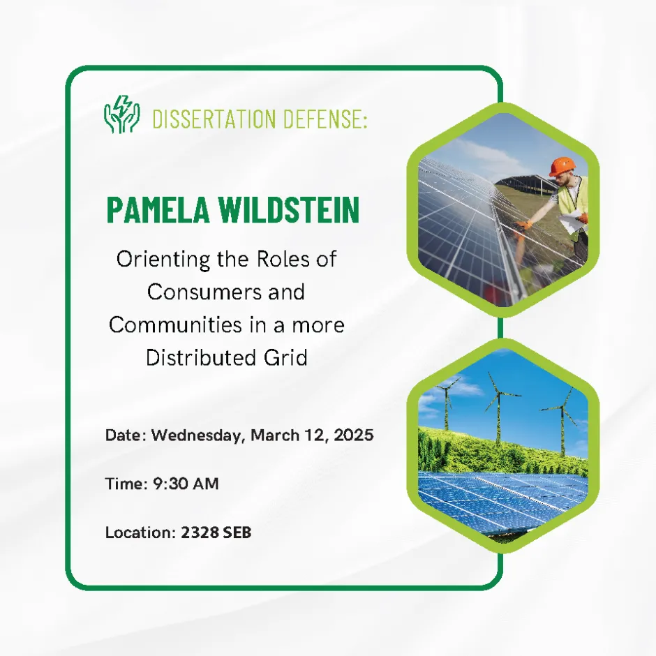 Pam Wildstein Defense Graphic