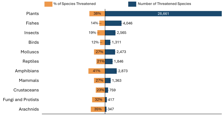 threated species by taxonomy - biodiversity