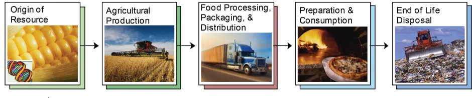 The Food System Life Cycle