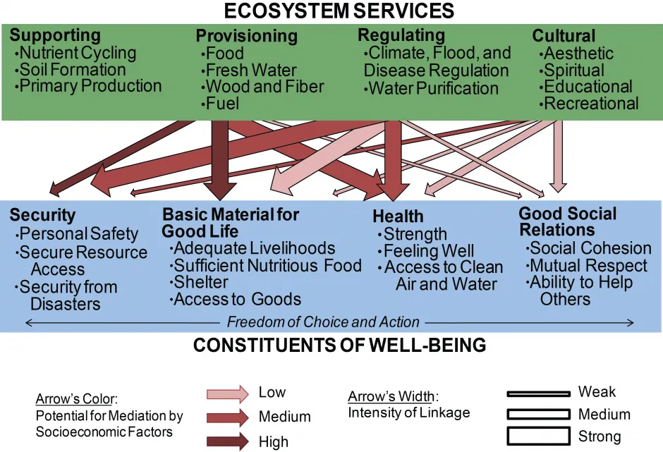 Biodiversity, Ecosystem Services, and Human Well-Being