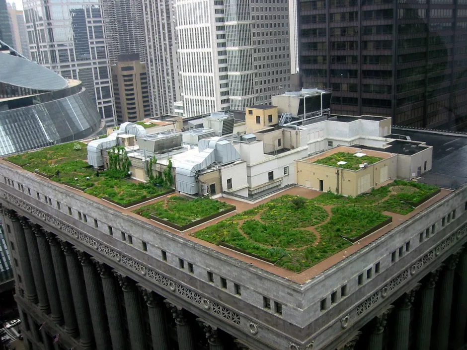 City Hall Green Roof, Chicago, Illinois